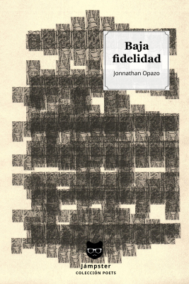 Baja fidelidad