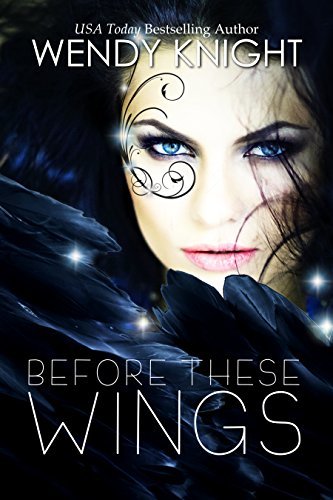Wings book cover 1