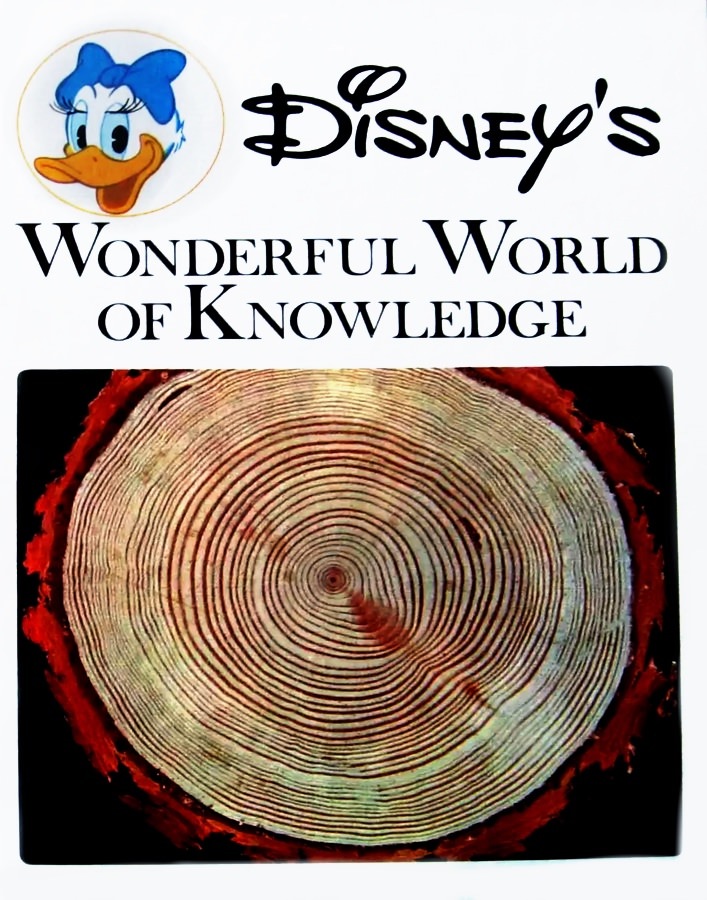 Disney's Wonderful World of Knowledge book cover 2