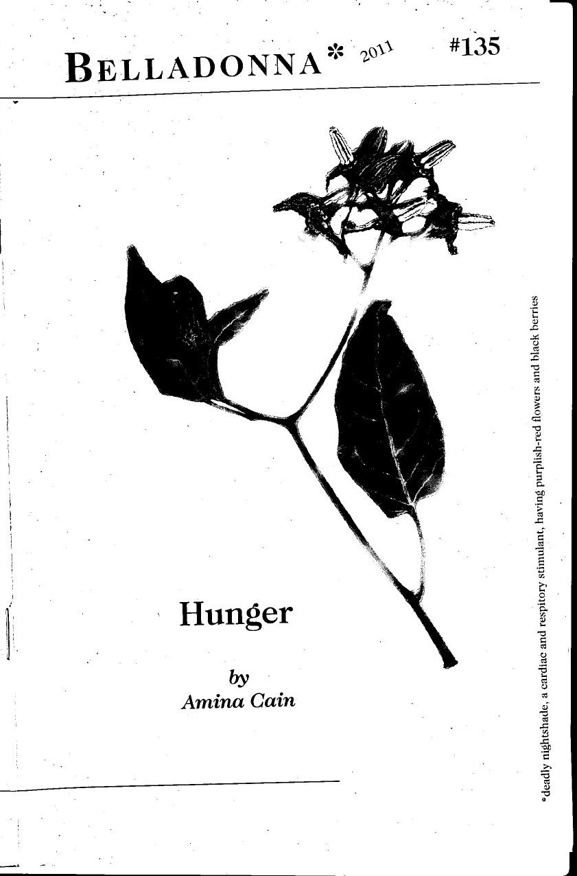 Hunger book cover
