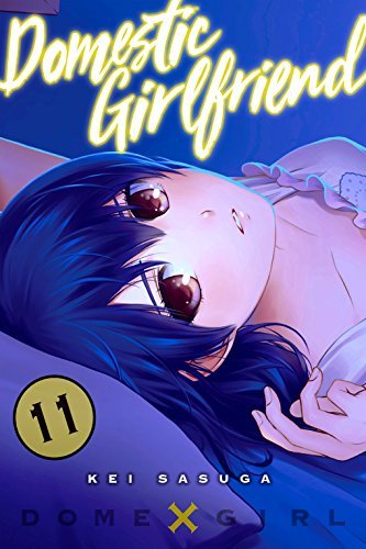 Domestic Girlfriend, Vol. 11 book cover