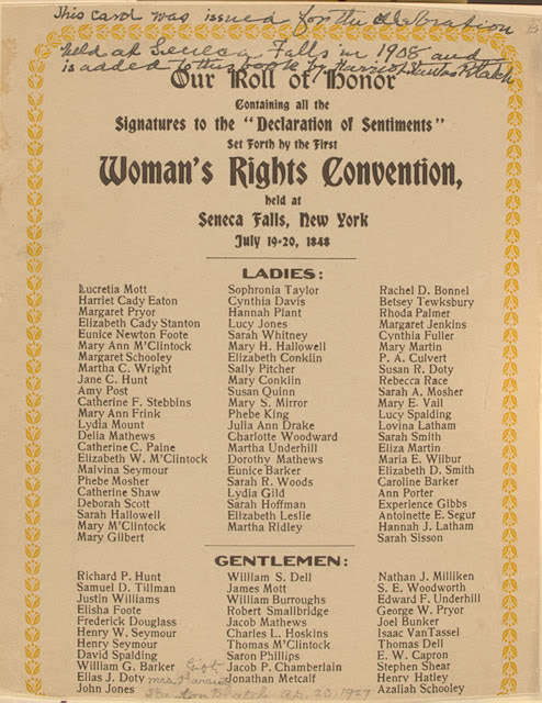 Seneca Falls Declaration book cover