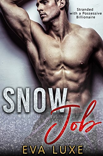 Snow Job book cover