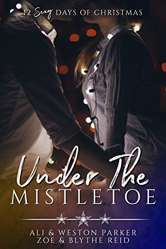 The Parker's 12 Days of Christmas book cover 2