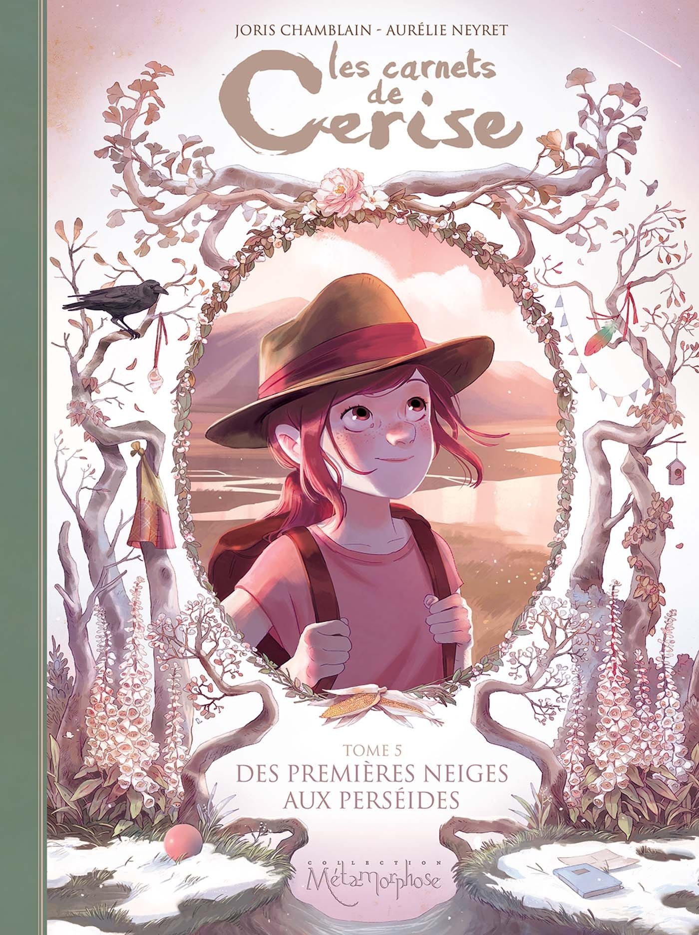 Des premières neiges aux Perséides book cover