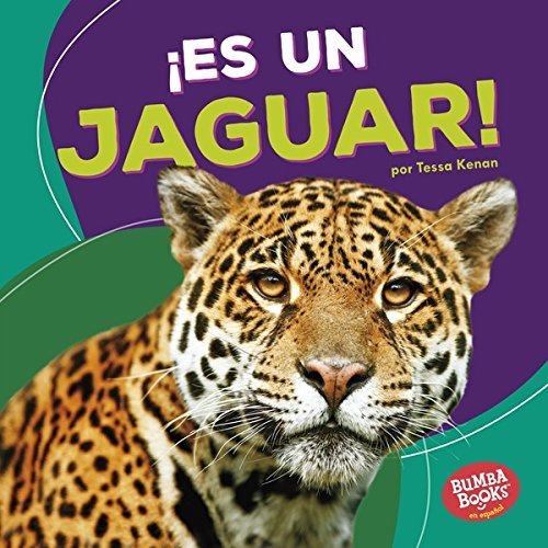 ¡Es un jaguar!
