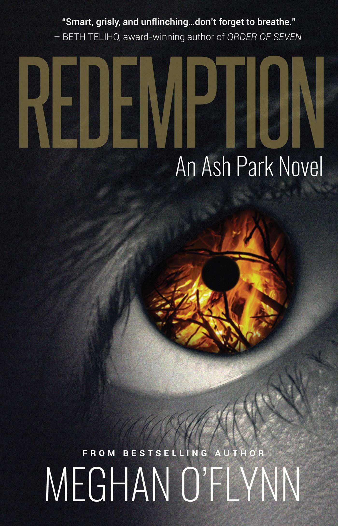 Redemption book cover