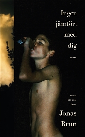 Ingen jämfört med dig book cover