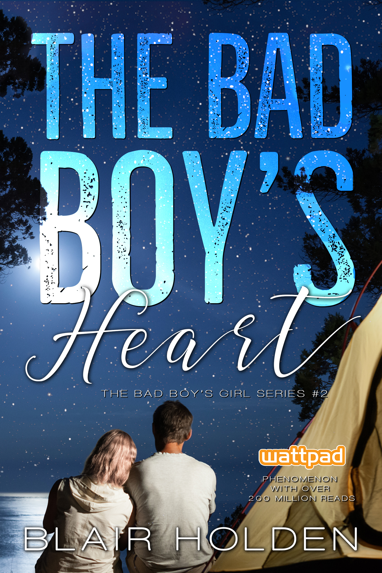 The Bad Boy's Girl book cover 2