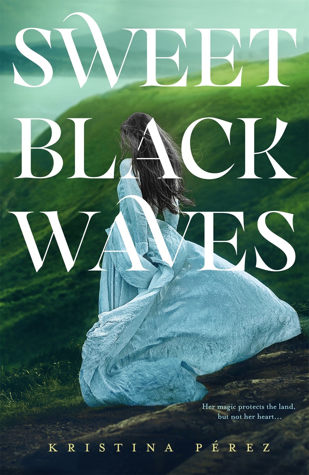 Sweet Black Waves book cover 1
