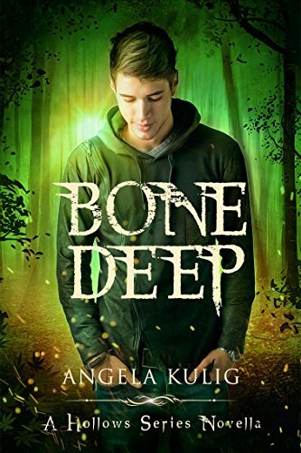 Hollows book cover 3
