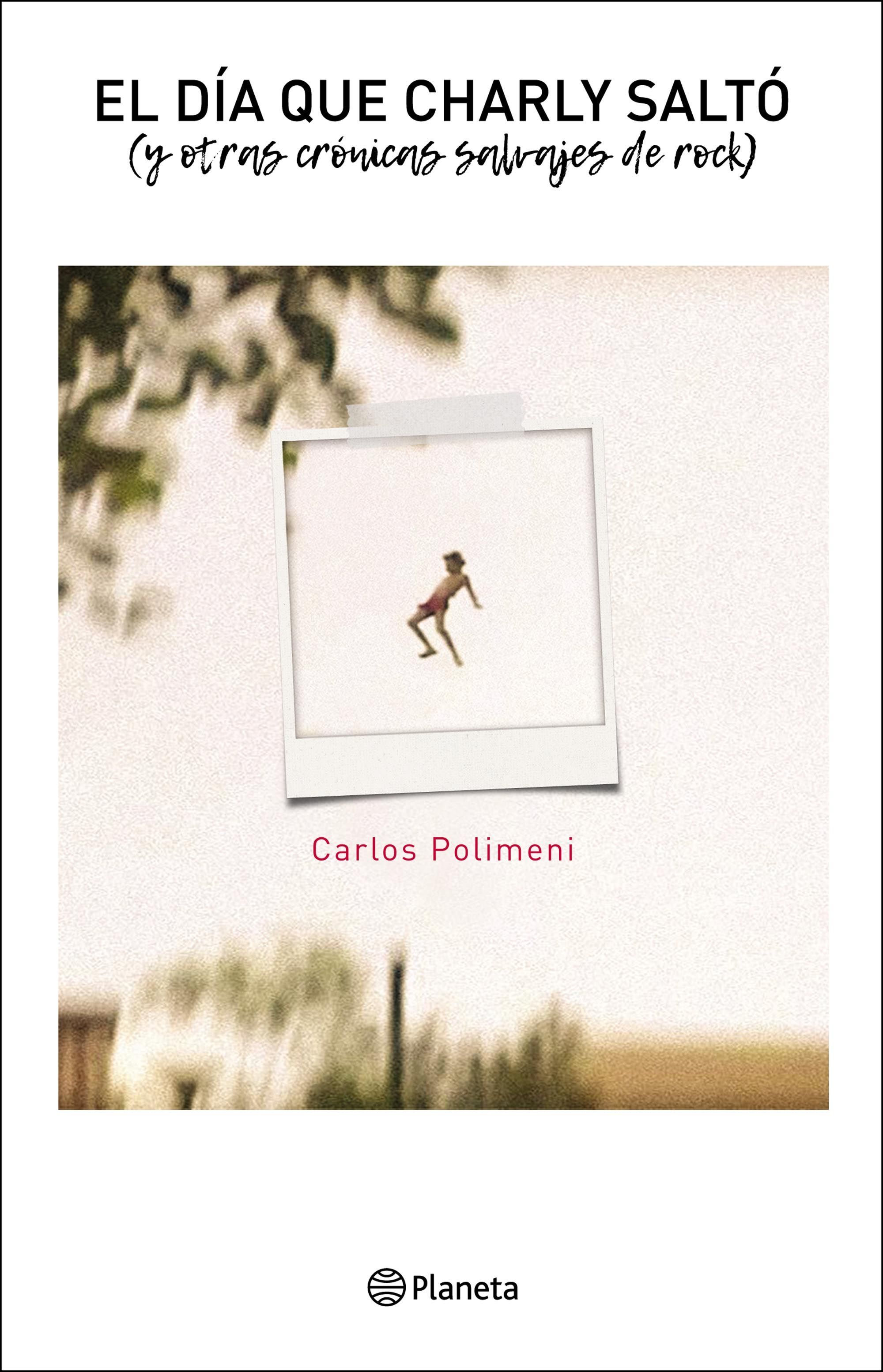 El día que Charly saltó y otras crónicas salvajes de rock book cover