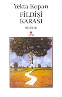 Fildişi Karası book cover
