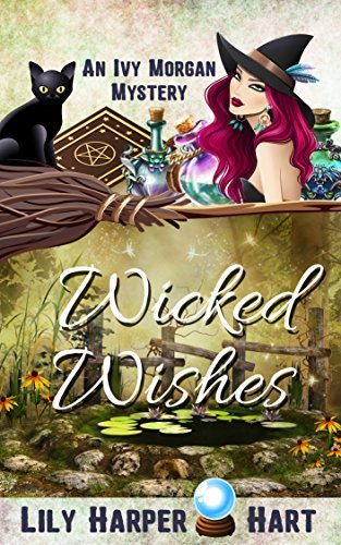Wicked Wishes book cover