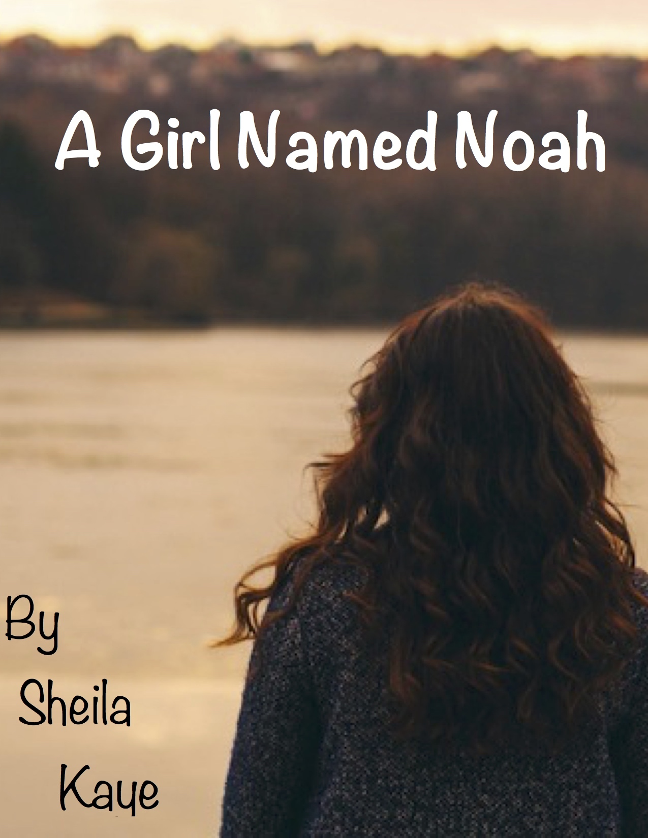 A Girl Named Noah (The Noah Chronicles, #1) by Sheila Kaye | Goodreads