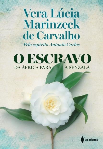 O escravo. Da África para a Senzala