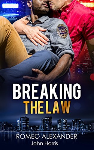 Breaking the Law book cover