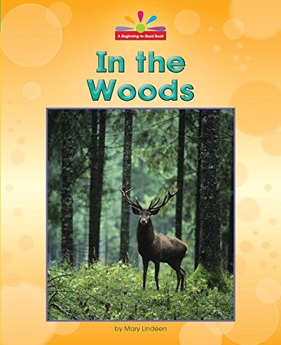 In the Woods book cover