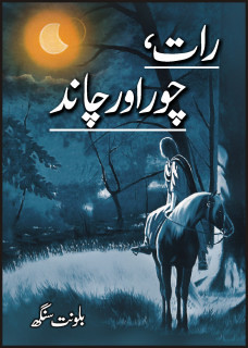 Raat Chor aur Chaand / رات، چور اور چاند