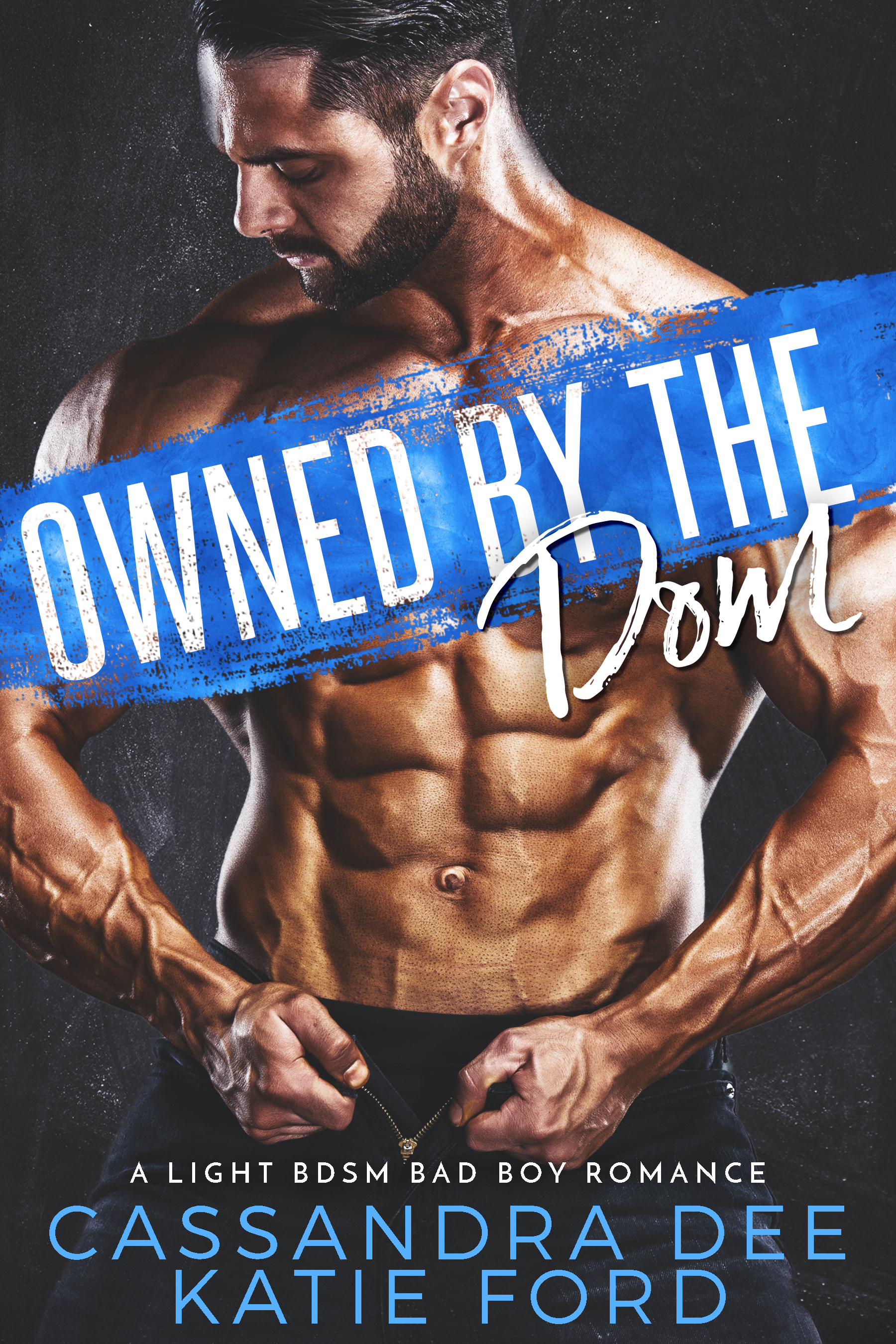 Owned by the Dom book cover