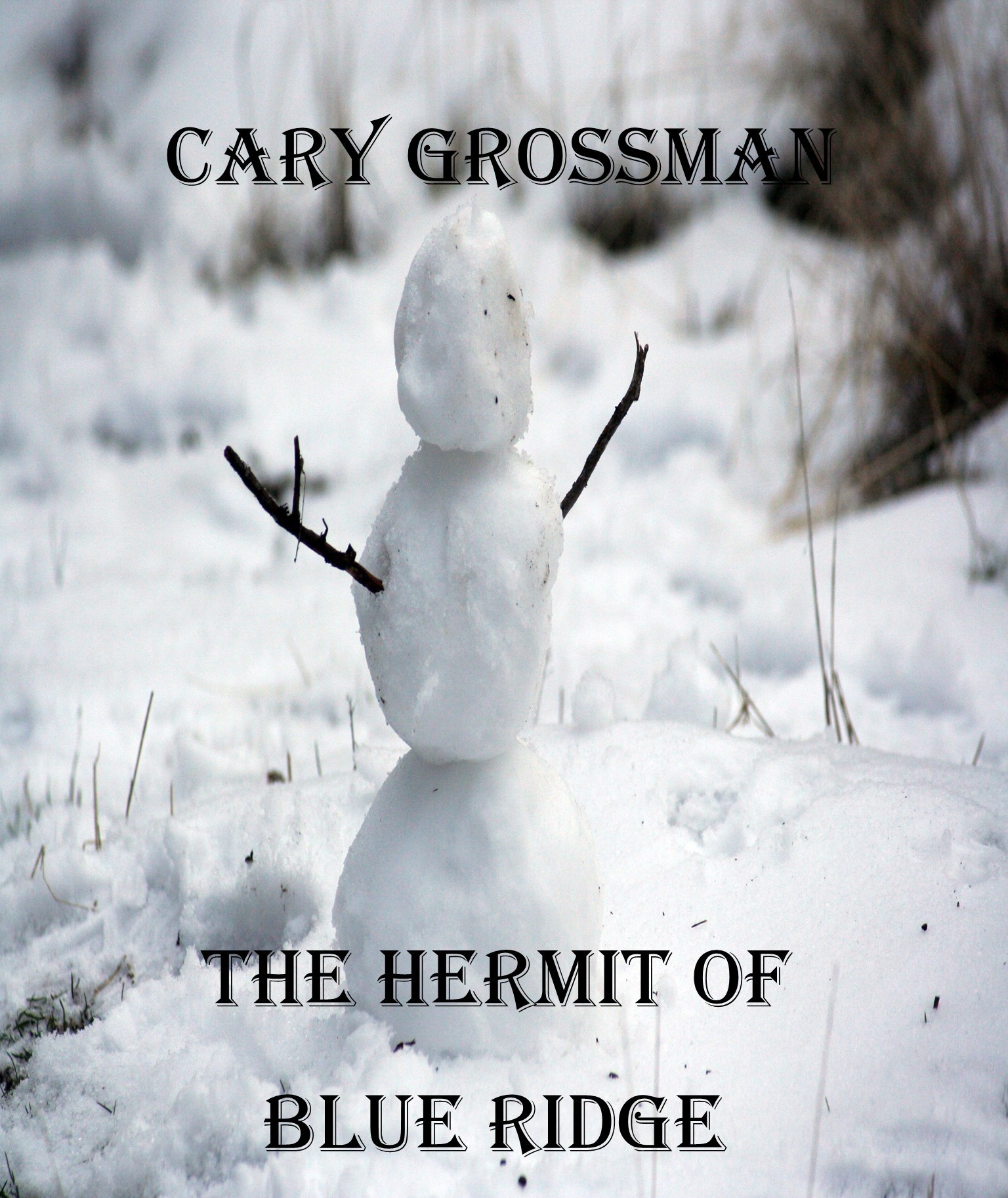 The Hermit of Blue Ridge by Cary Marc Grossman | Goodreads
