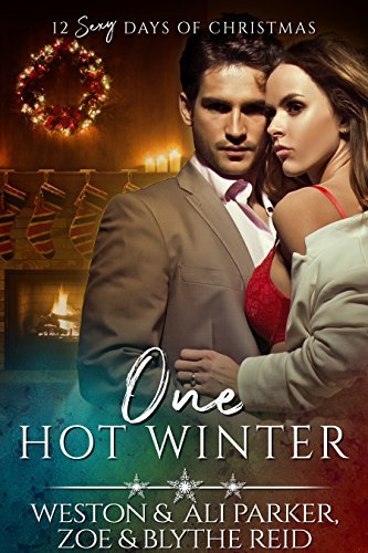 One Hot Winter book cover