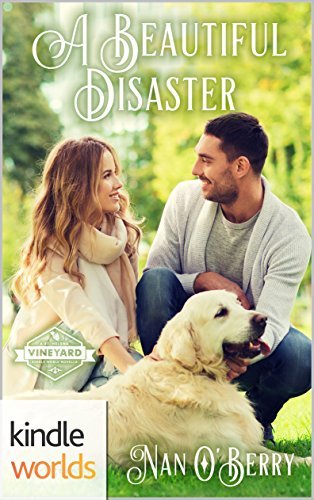 A Beautiful Disaster book cover
