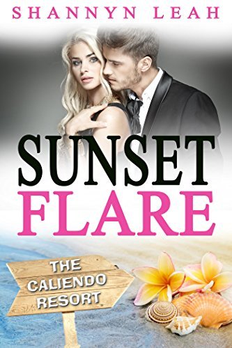 Sunset Flare book cover
