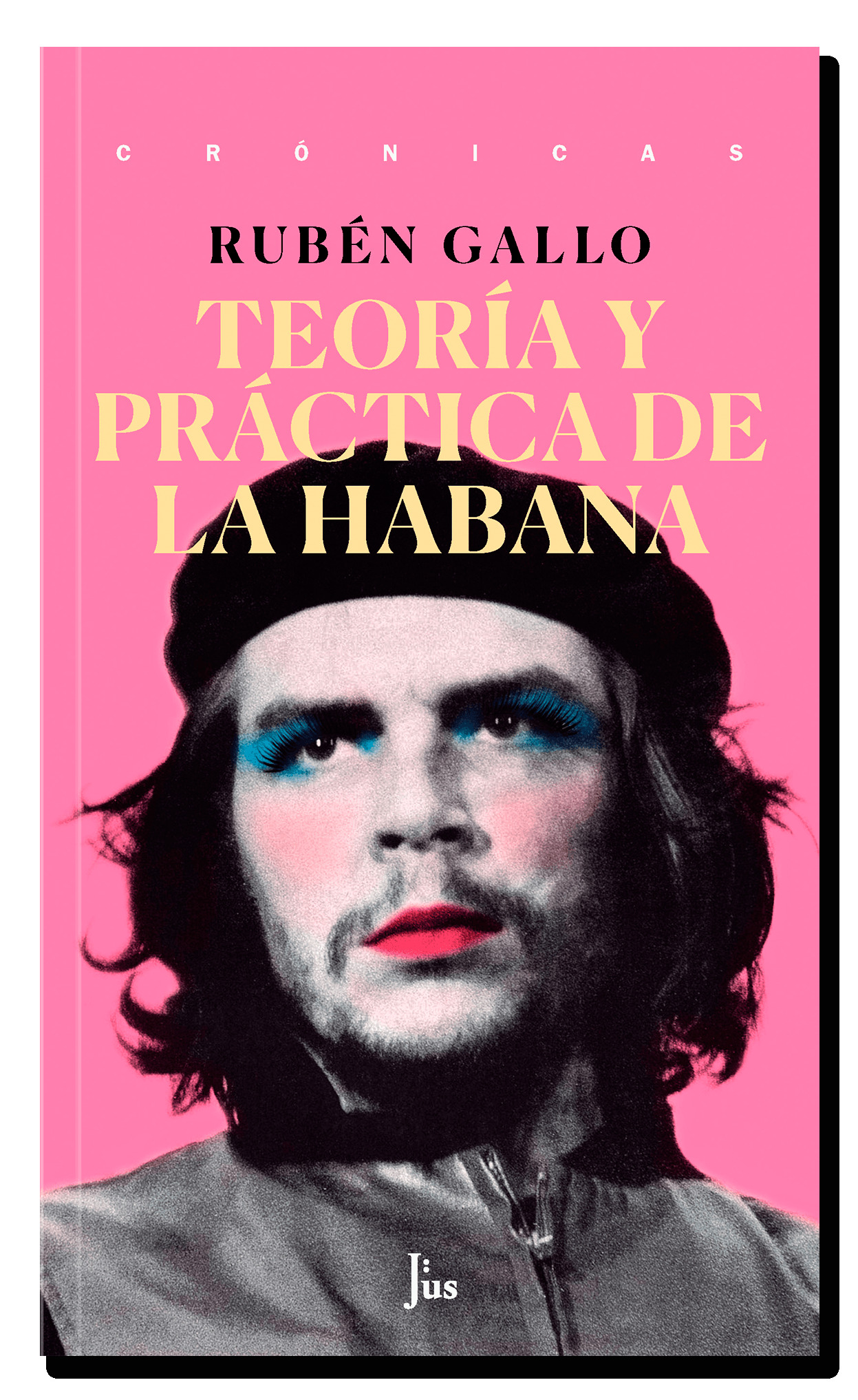 Teoría y práctica de La Habana book cover