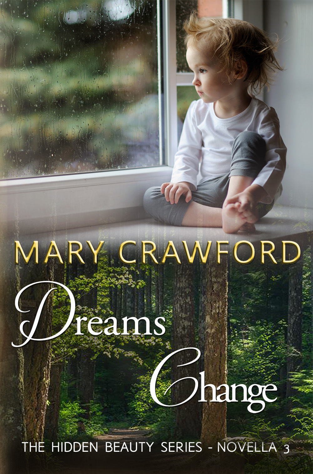 Dreams Change book cover
