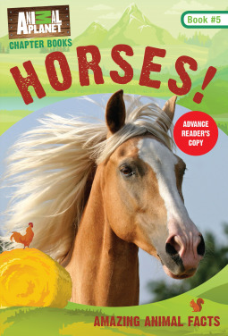 Horses! book cover