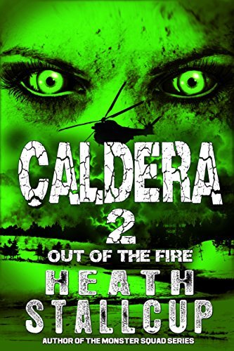 Out Of The Fire book cover