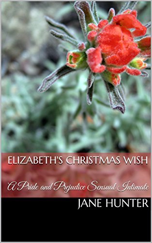 Elizabeth's Christmas Wish book cover