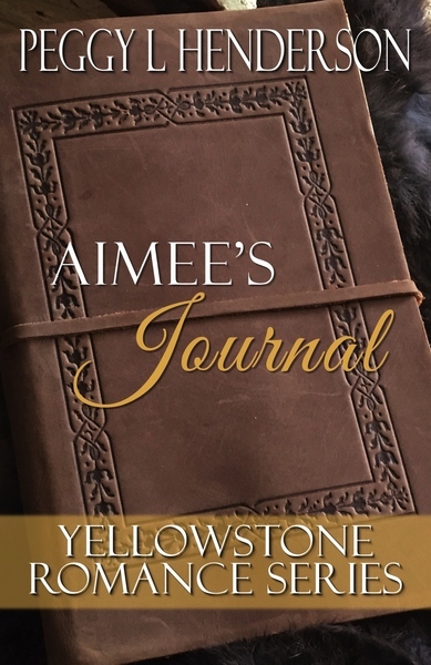 Aimee's Journal book cover