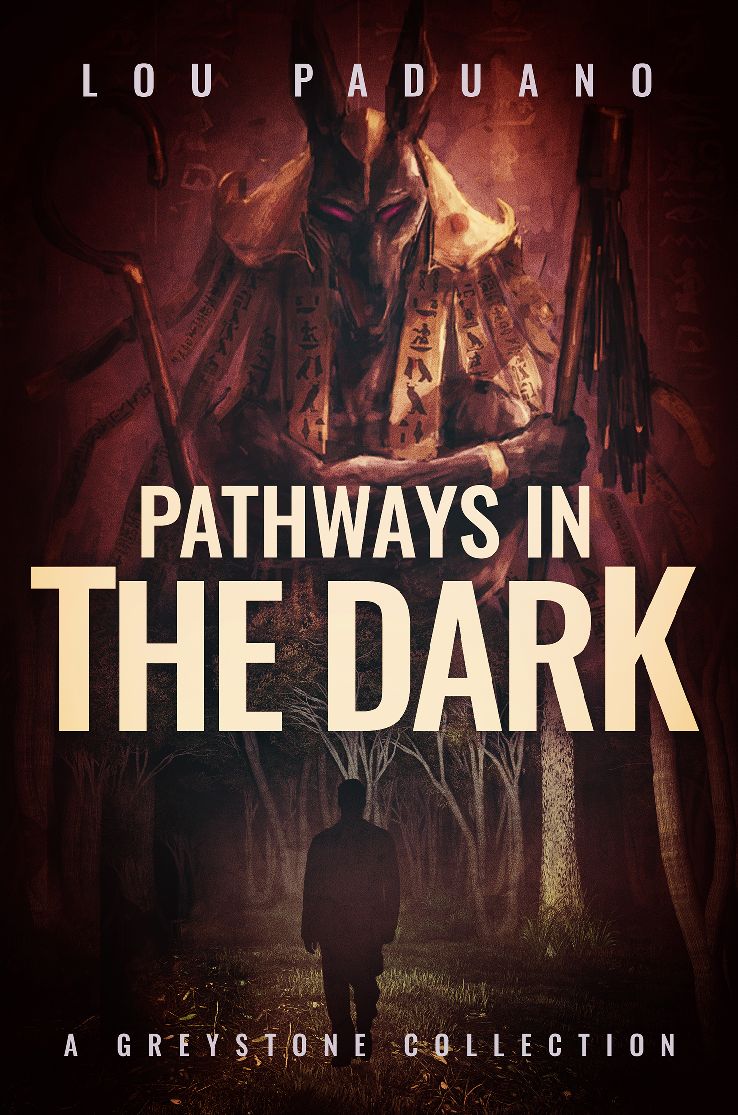 Pathways in the Dark book cover