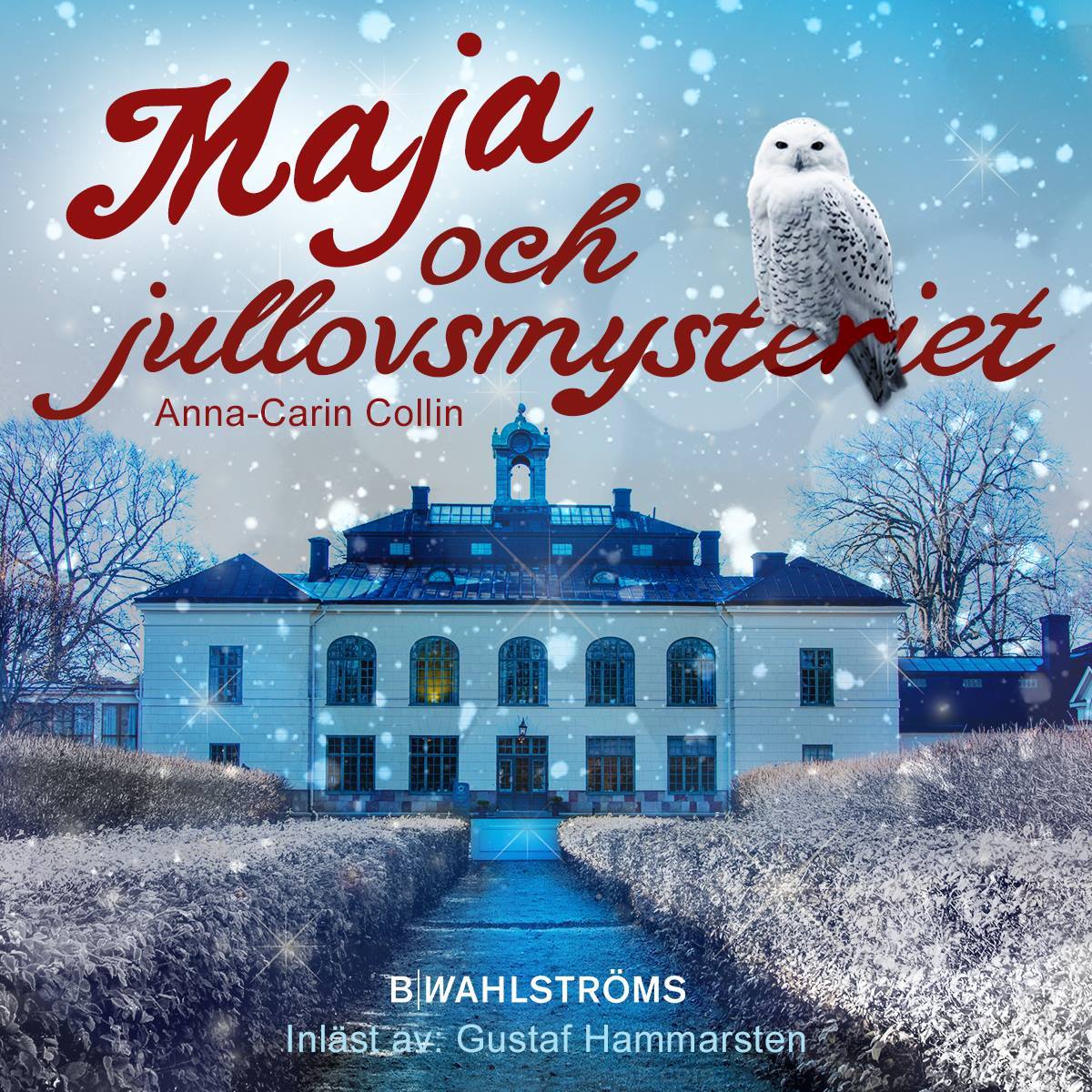 Maja och jullovsmysteriet