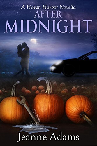 Haven Harbor book cover 3