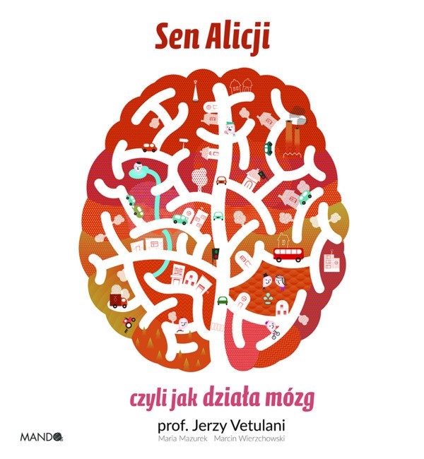 Sen Alicji, czyli jak działa mózg book cover