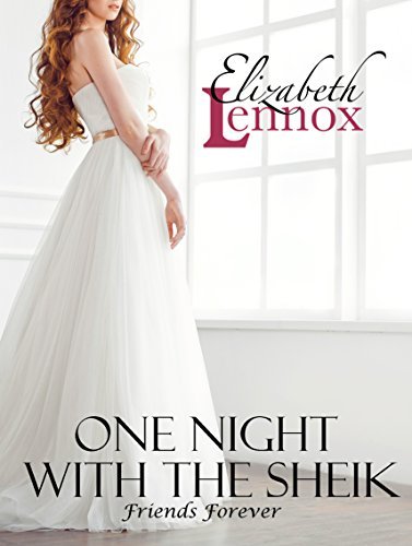 One Night With the Sheik book cover