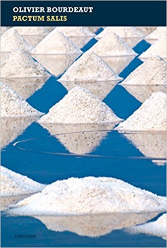 Pactum salis book cover