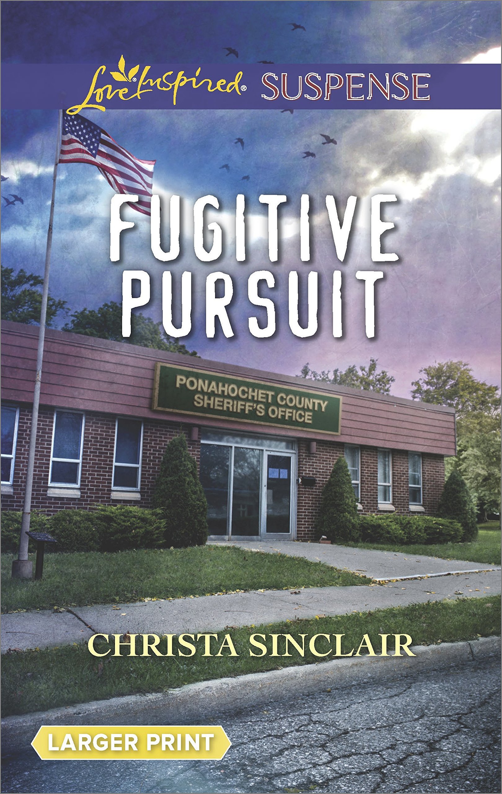 Fugitive Pursuit