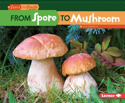 From Spore to Mushroom book cover