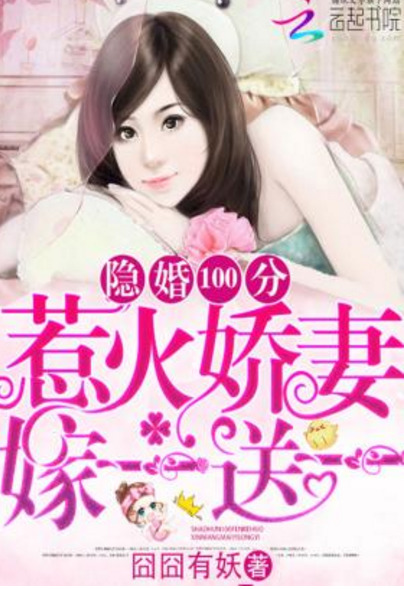 Hidden Marriage Book Vol 1