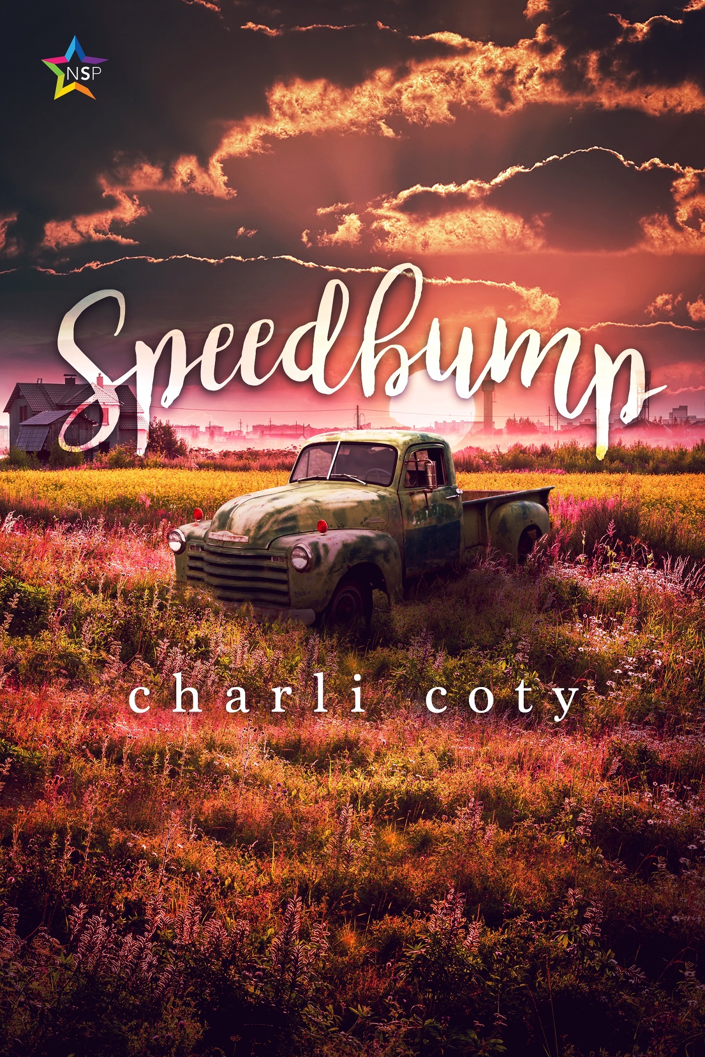 Speedbump book cover