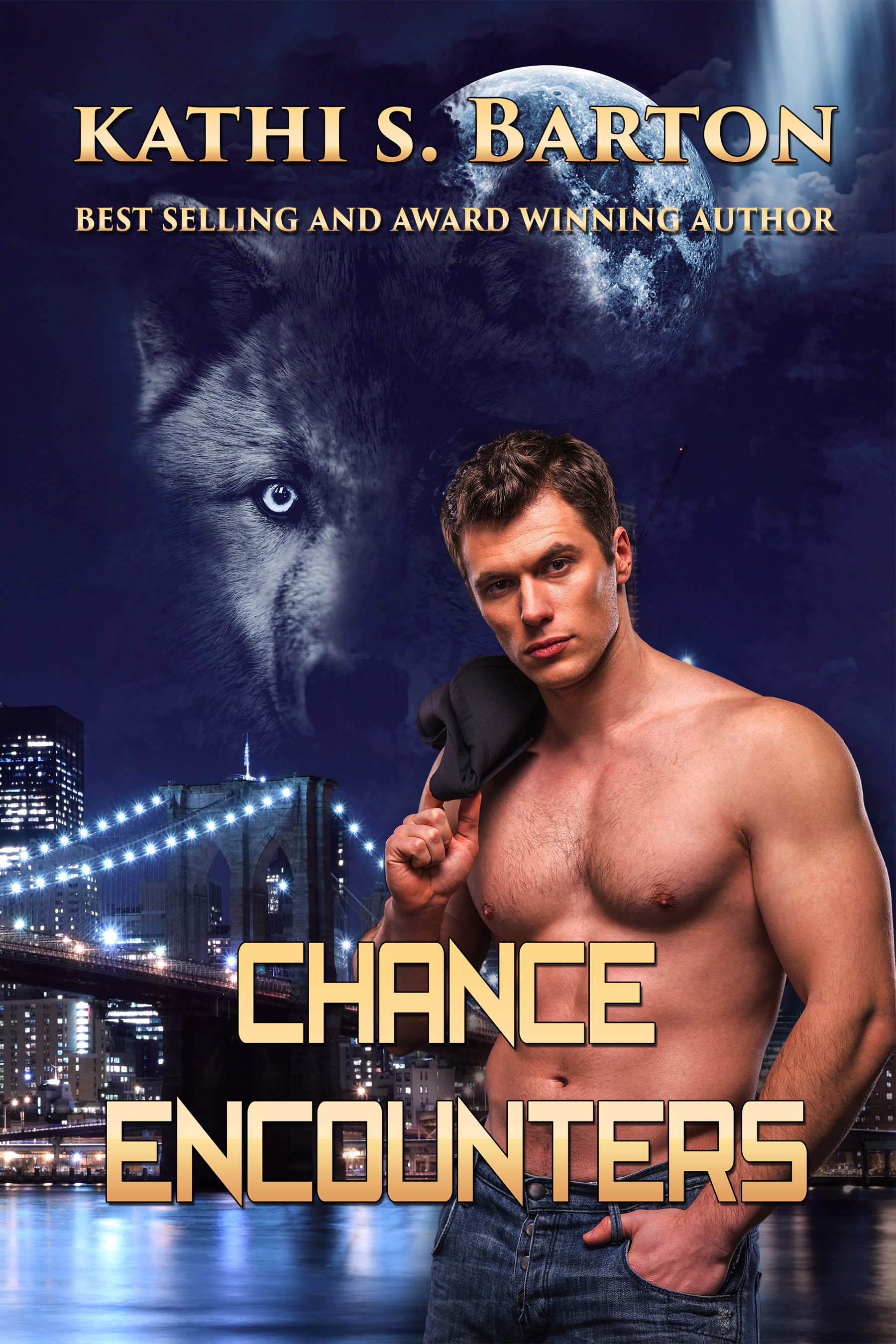 Chance Encounters book cover