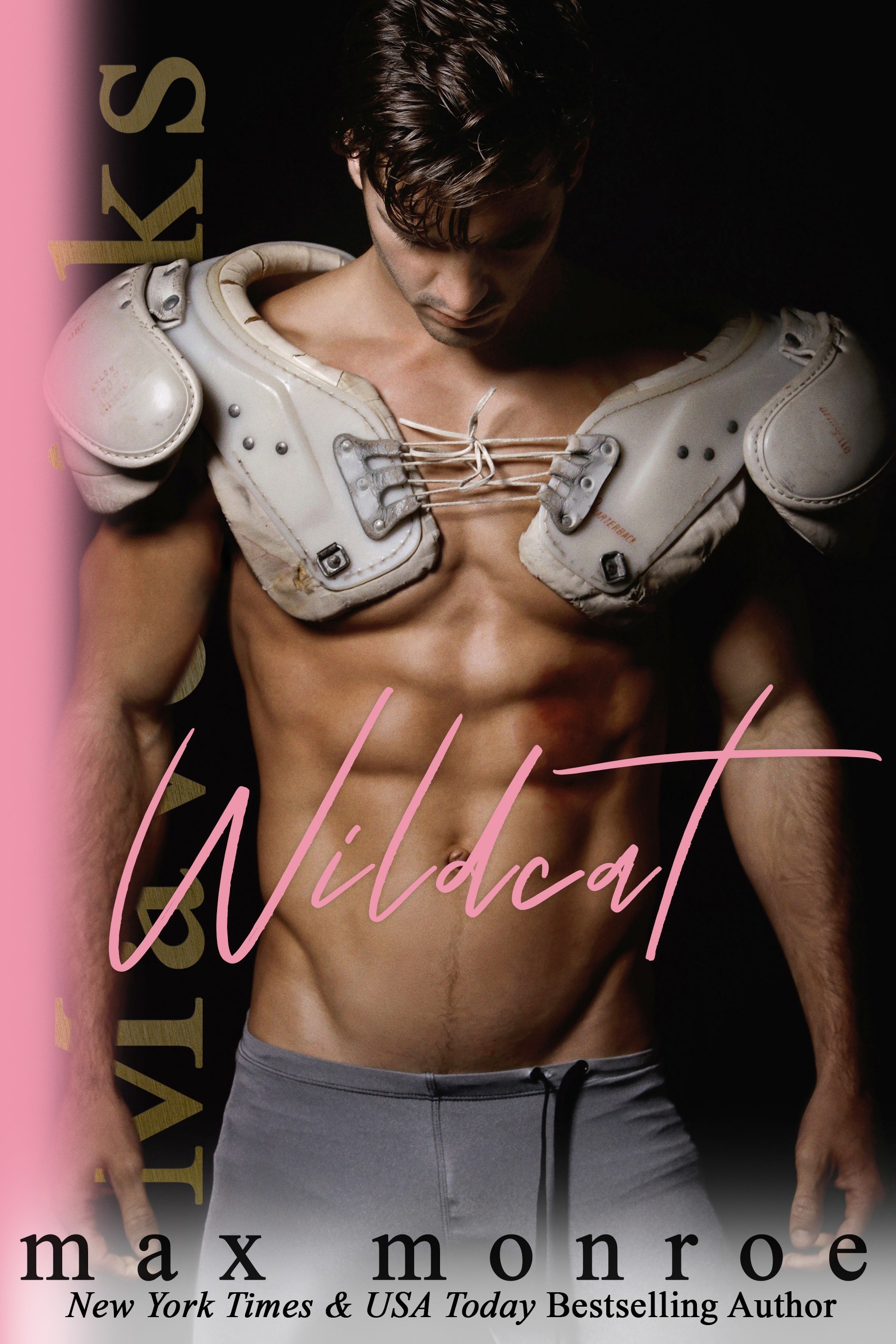 Wildcat (Mavericks Tackle Love, #1)