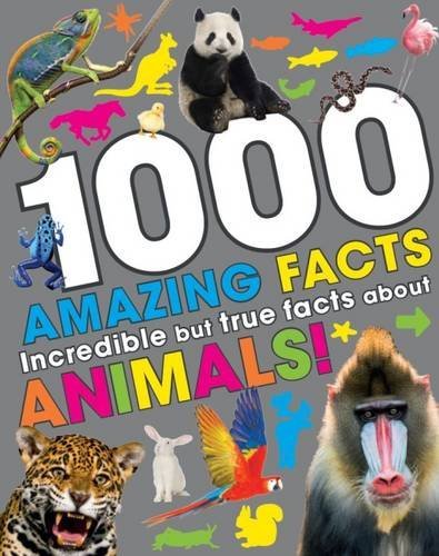 1000 AMAZING FACTS intelligence overview