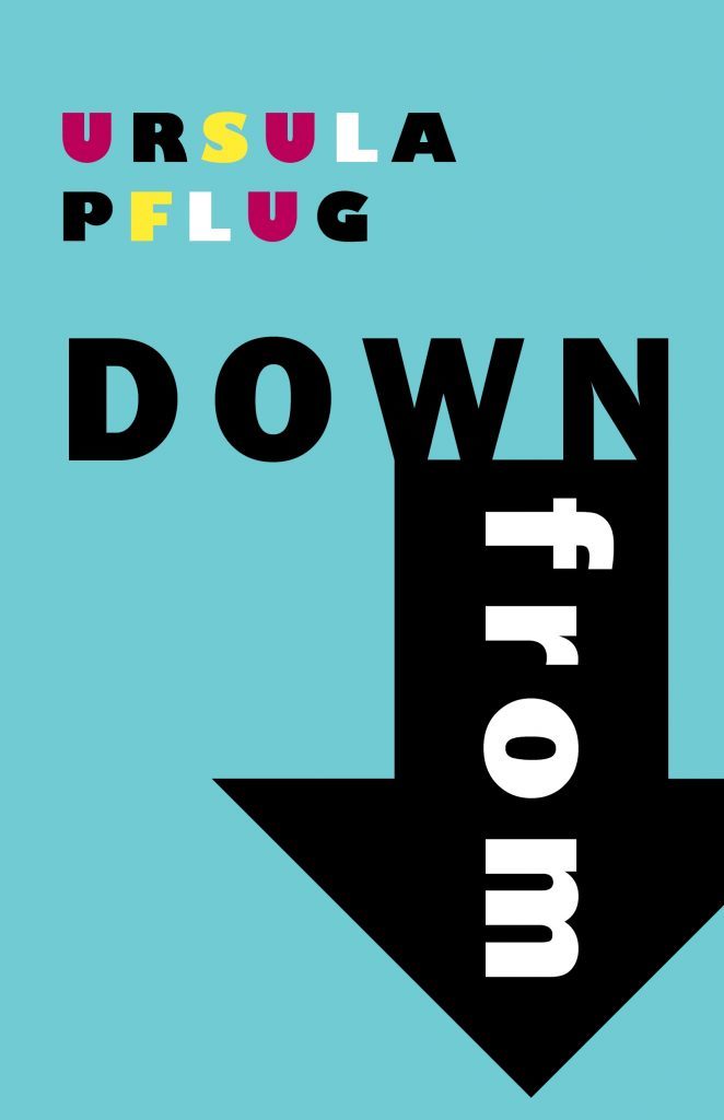 Down From book cover