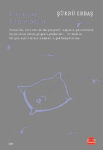 Kuş Uçar Kanat Ağlar book cover