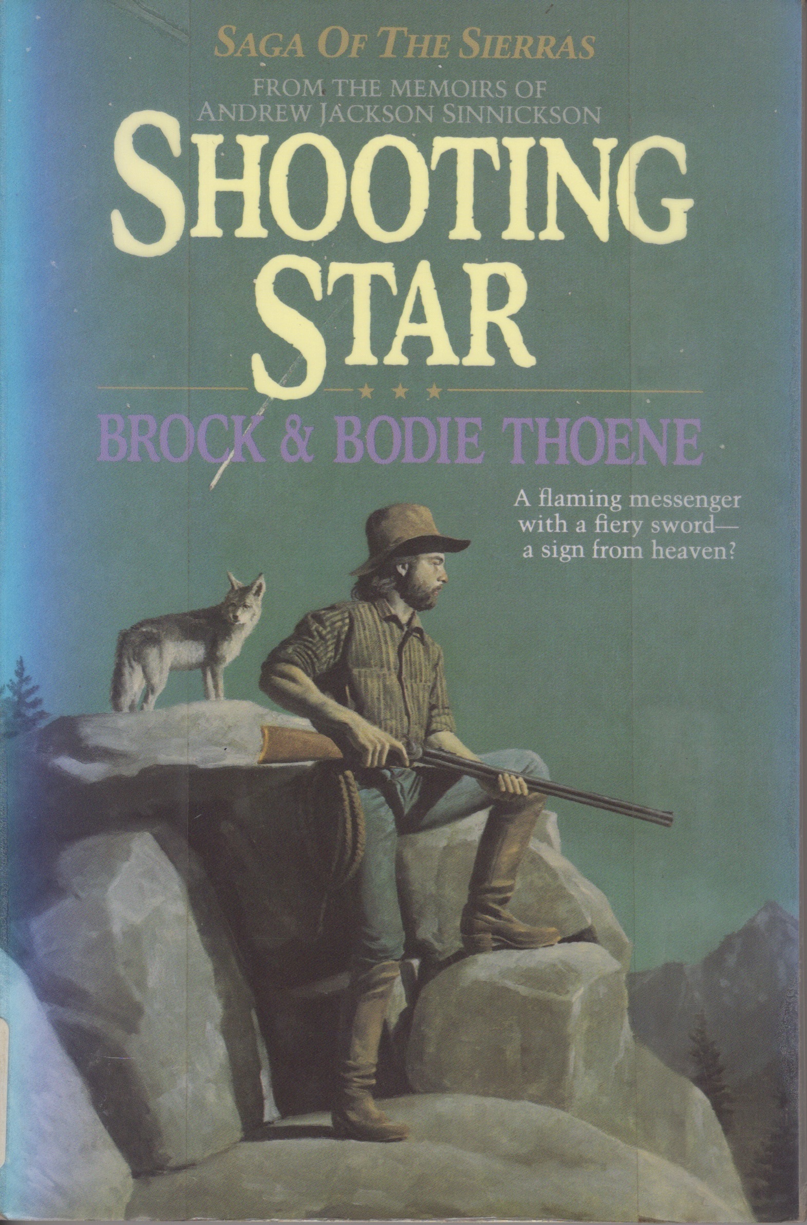 Shooting Star book cover